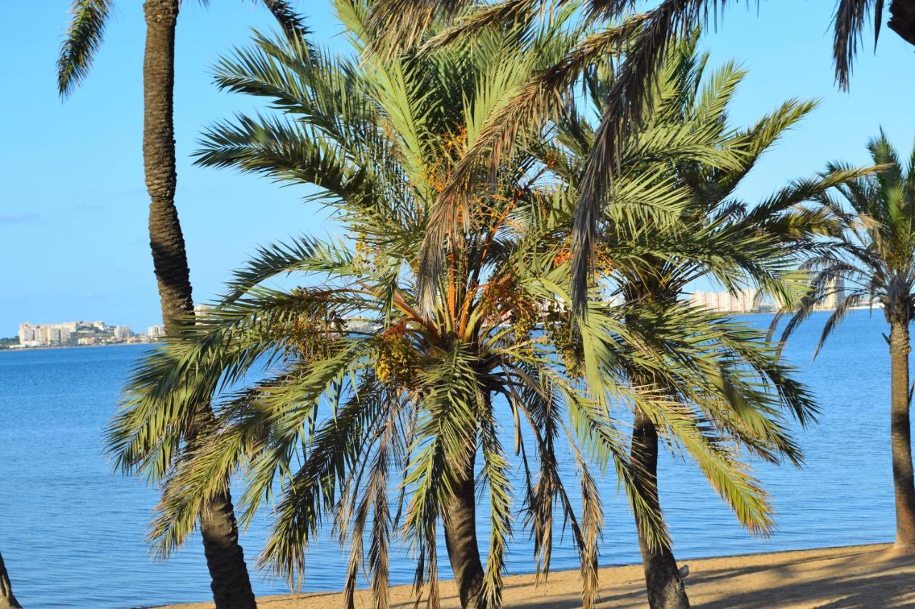Bungalow En Camping De La Manga 외부 사진